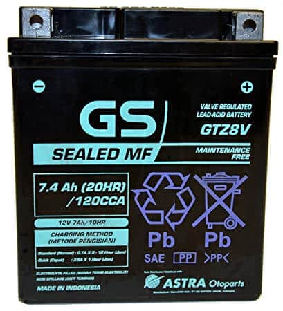 GTZ8V
